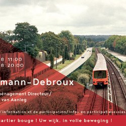 hermanndebrouxsite