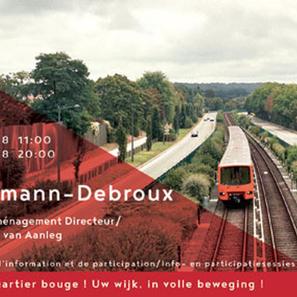 hermanndebrouxsite