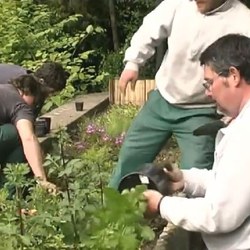 vidéojardiniers